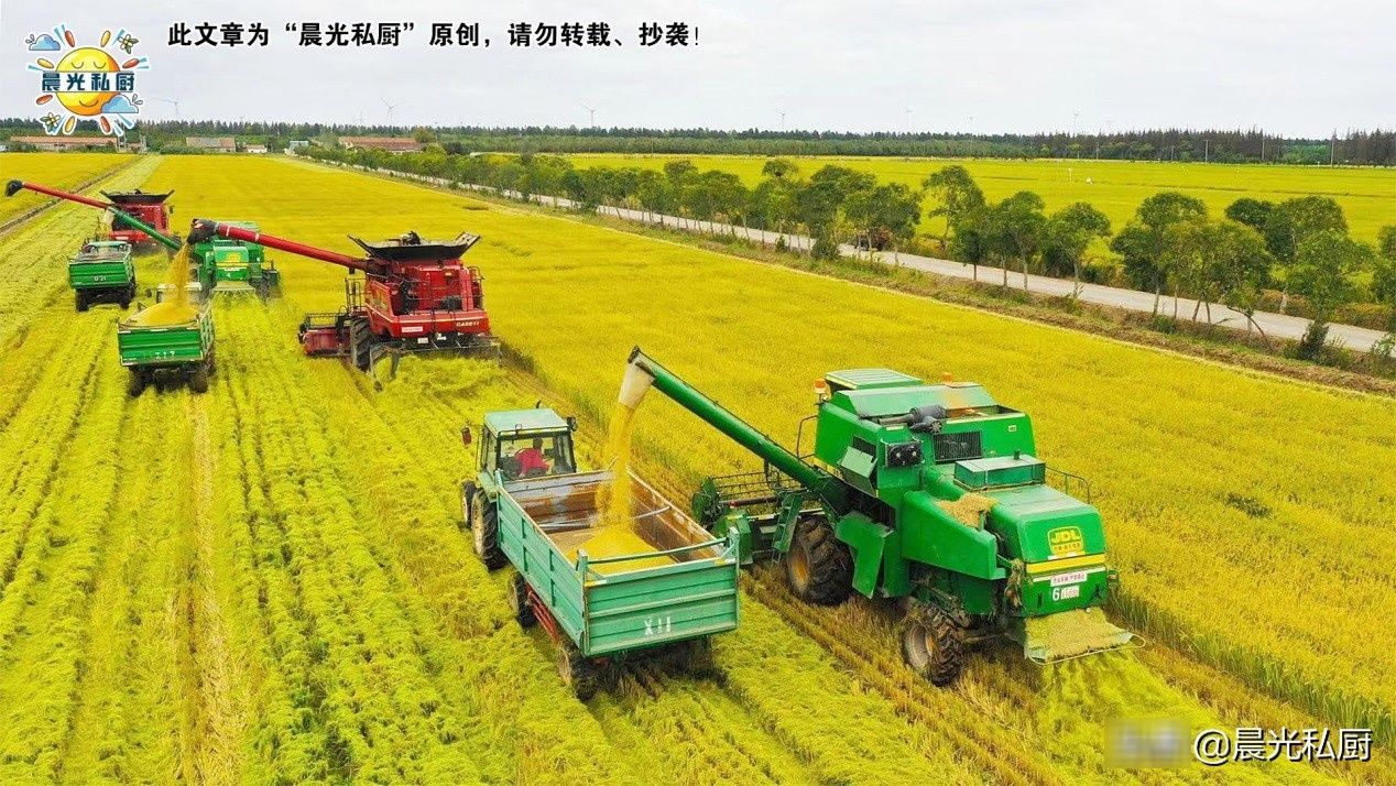 传统|传统甜点蒸米糕,教你如何正确判断,桂花糕中米粉与水的比例