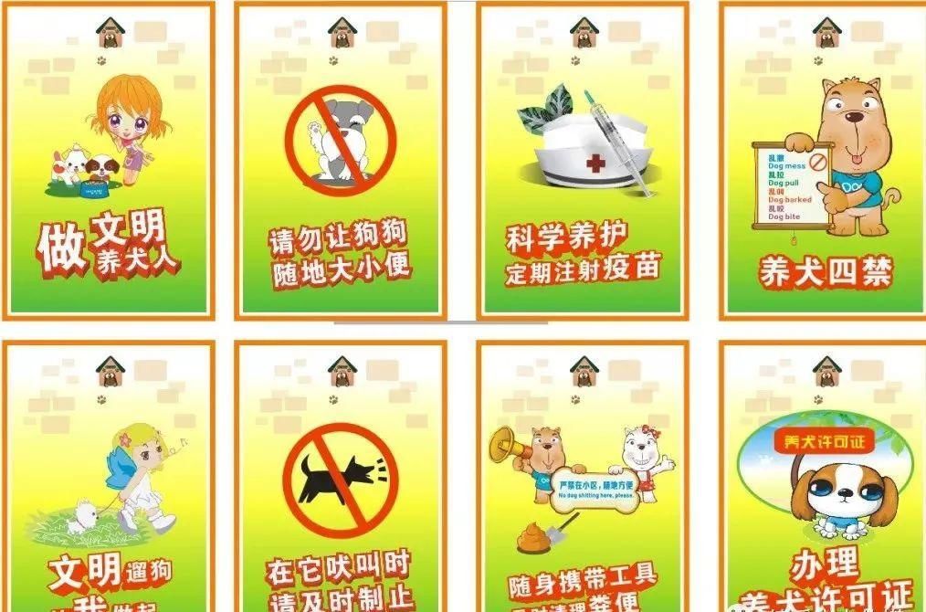 养犬|文明养犬,我们不掉“链”!