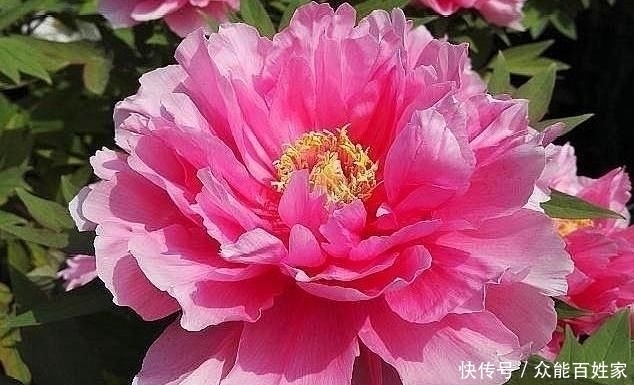 福气的人|福祸是有征兆的,对照一下,你是有福之人吗?