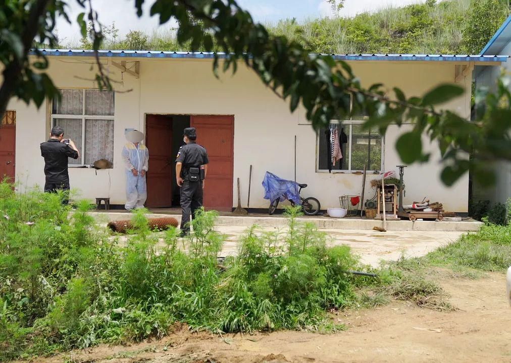  清缴|南涧警方成功打掉一游赌团伙，清缴赌资及罚没款近60万元