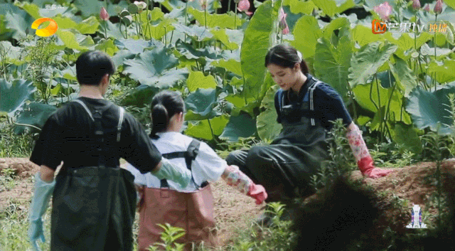  丹丹|四季过去了，它还是国内最治愈的慢综艺