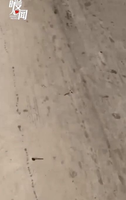 钉子|司机沿路捡70多颗钉子获奖5000元，钉子是从货车上掉出来的