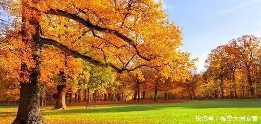 心生|曾国藩：相由心生，你的脸就是你的命