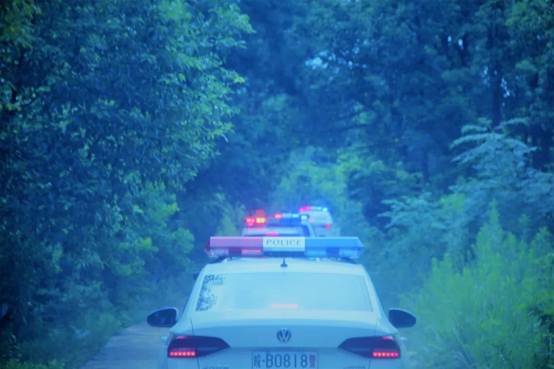  押解|南陵警方押解2020.6.10专案主要犯罪嫌疑人公开指认现场