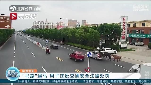  高峰期|下班高峰期马路遛马男子违反交通安全法被处罚