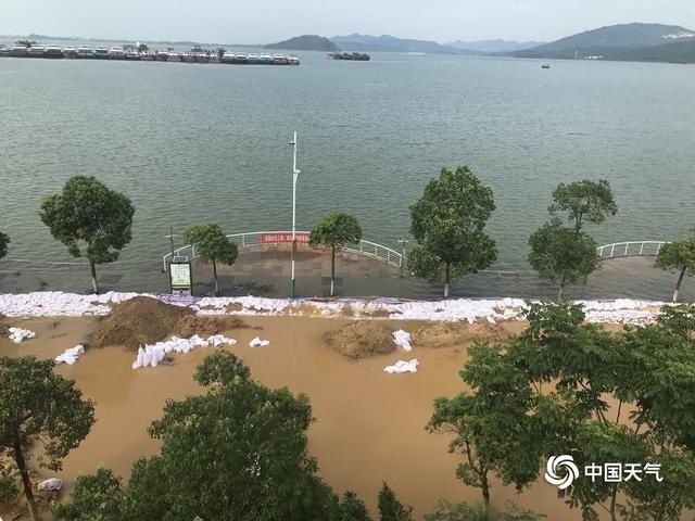  持续|江西受持续强降雨影响 鄱阳湖及周边河流水位超警戒线