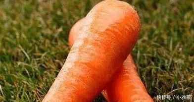  不吃|买胡萝卜时，遇到这“3种”请选择避开，商贩自己都不吃，你还买