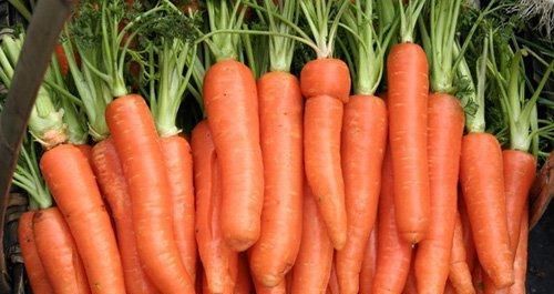  一物|常食胡萝卜的人，身体不会差，但切记与一物同食，很多人却不清楚