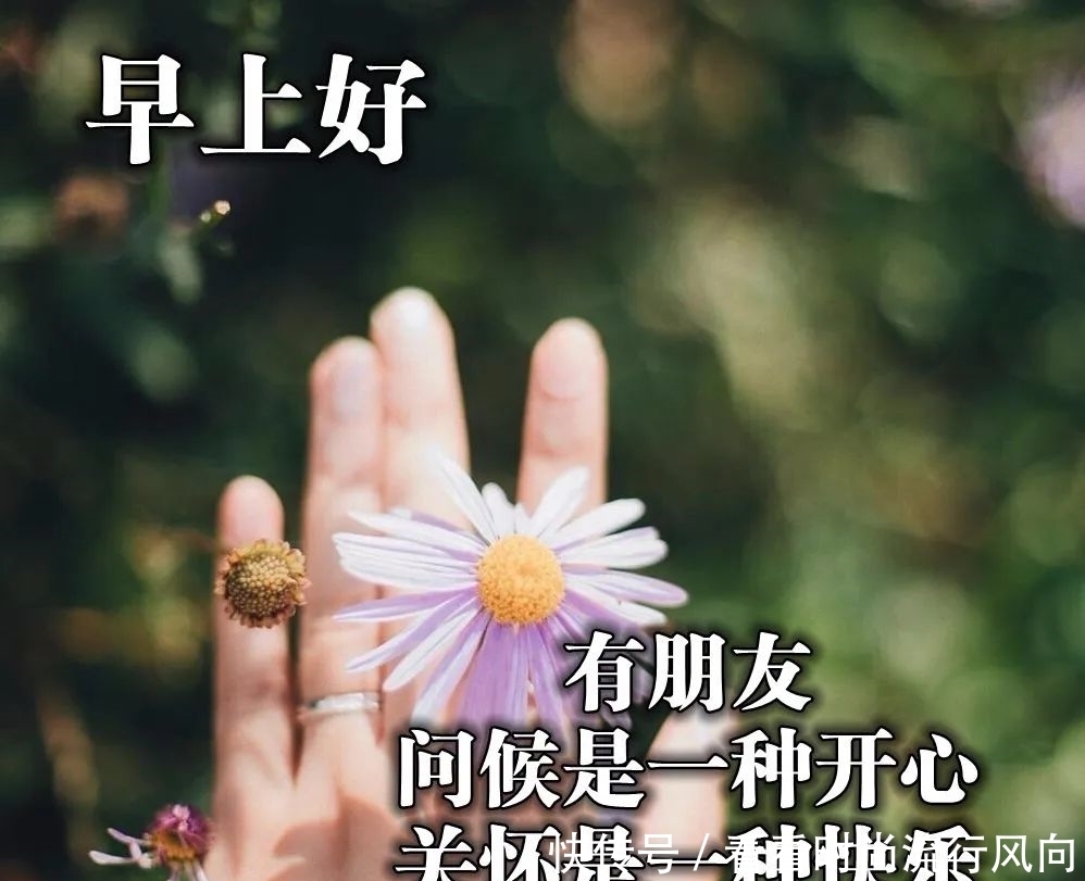 句子|6月14日早上好温馨的祝福图片最新版,周日愿你快乐的问候句子