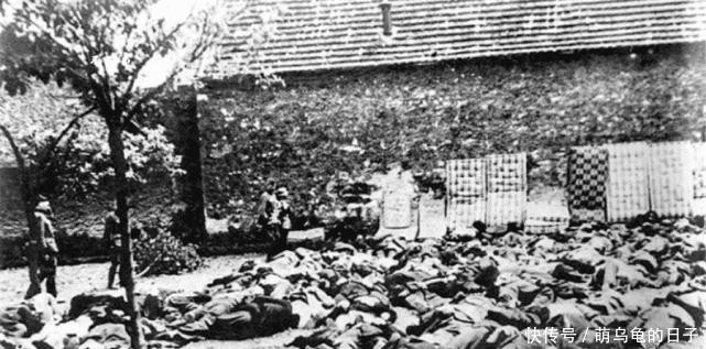 照片拍摄于二战东线|二战战场到底有多残酷？看看这些真实的老照片，战争之下满目离殇