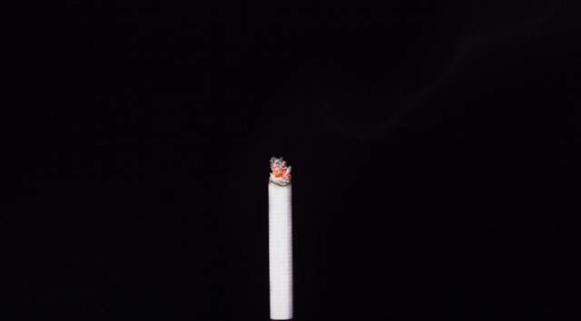  a6462|埋头工作，不问世事的两个星座男生