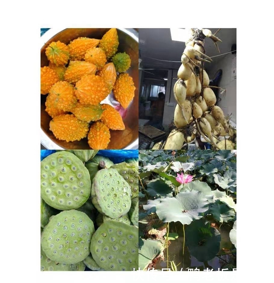 茭白|大道至简的人间至味,醉的何止是舌尖?