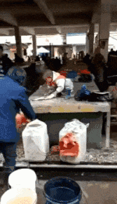 搞笑|搞笑GIF:当孩子第一次发现自己是狼人