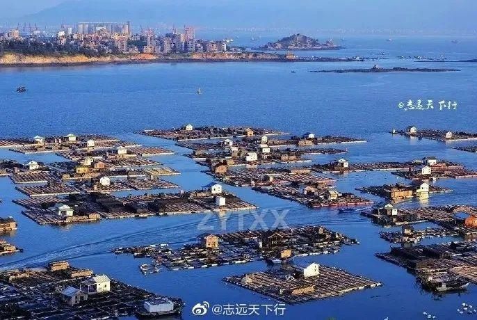  最美|躺在沙滩上数星星！到福建最美海边露营地露营，过个完整的夏天！