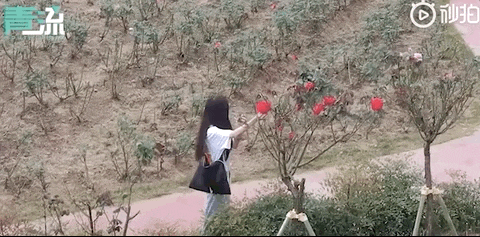 游客|“前面有坑，真的有坑，我帮你盯着呢！”