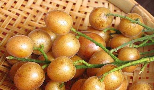  碱性|七月，遇到这碱性水果别错过，做成零食美味又健康