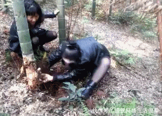 日子|搞笑GIF:这些日子受尽了多少委屈,在老丈人面前哭成这样啊。