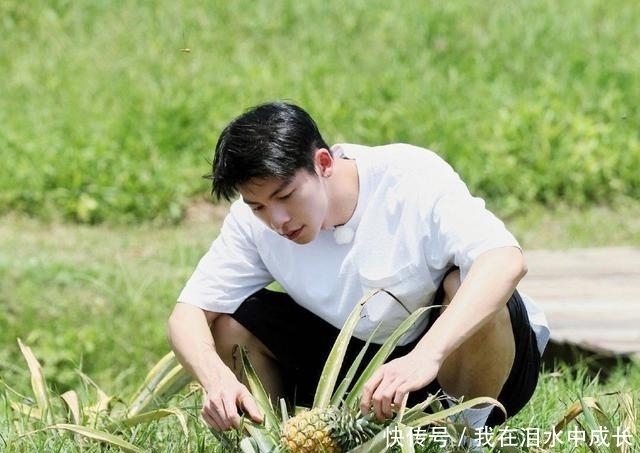  粉丝|《向往的生活》翻车，许光汉粉丝不满嘉宾安排，网友：替他尴尬