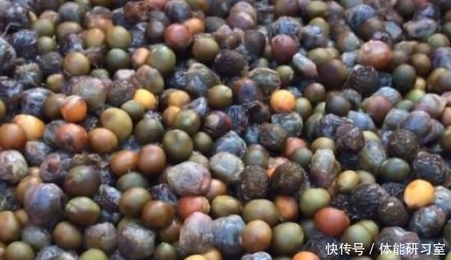 也都|大妈街边卖“丑果子”,12元1斤,引路人围观,知道后抢着买!