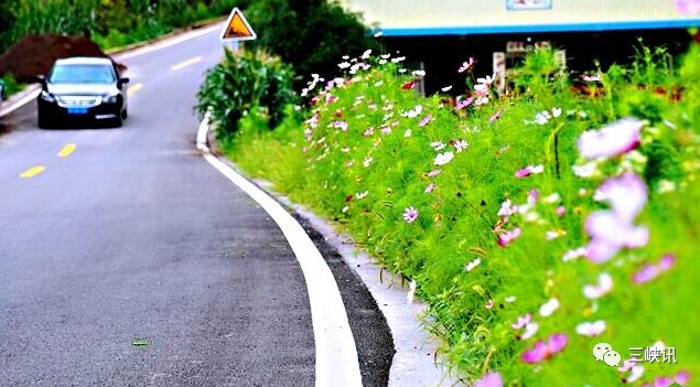 道路|万州到云阳这条道路变美了!全长12.8公里!