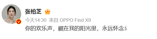 t11508c75c8209147622d12fd61.png?size=550