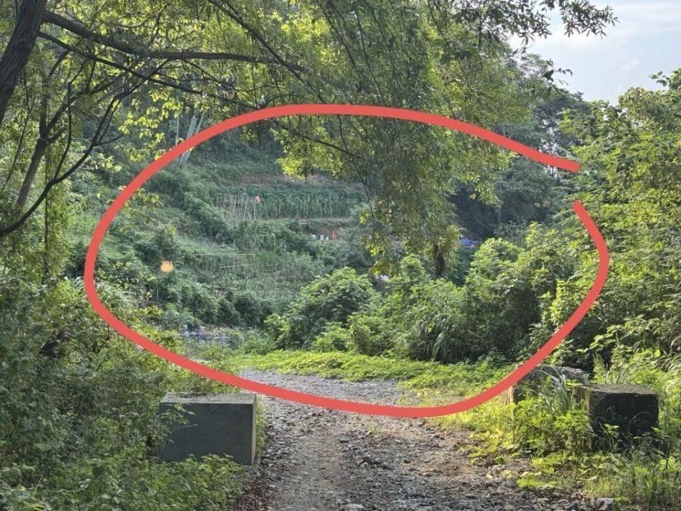 t11508c75c83d6cb4a51acf1067.jpg?size=960