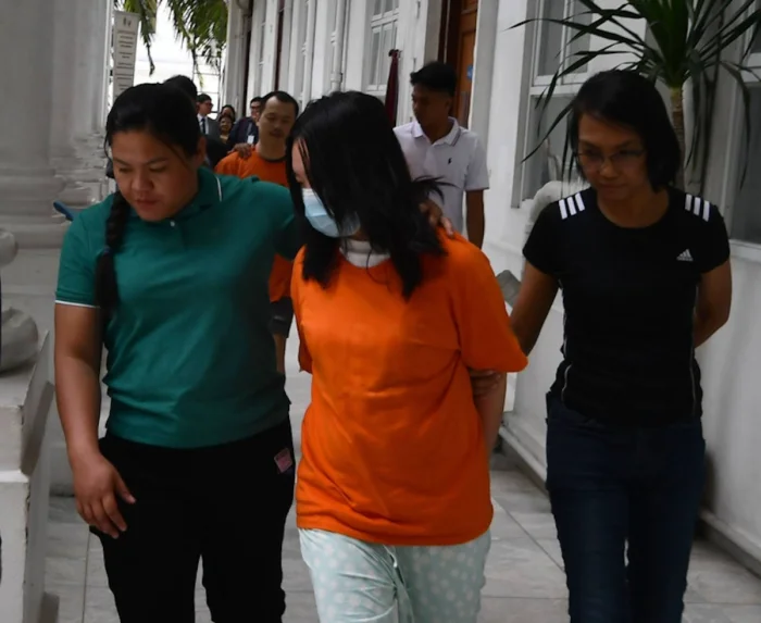 t11508c75c83dd6fc2e970aac32.png?size=700