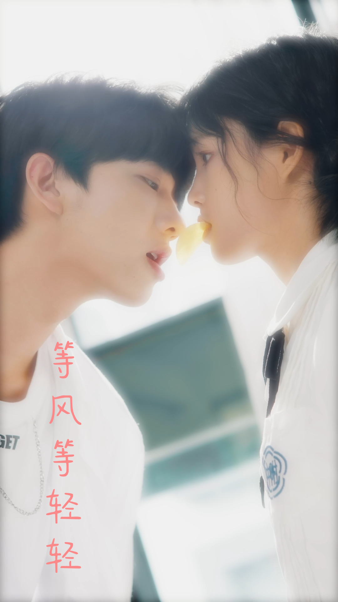 等风轻轻吹